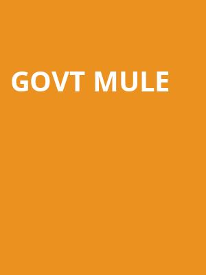 Govt Mule Poster